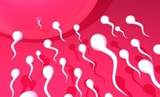 ¿Se extinguirá la humanidad por el declive en la cantidad de espermatozoides?