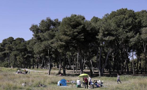 Málaga diseña 12 kilómetros de tuberías para regar grandes zonas verdes con agua reciclada