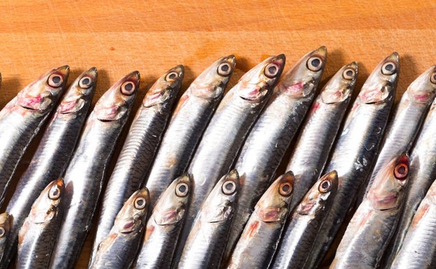 El boquerón se hace oír en Málaga