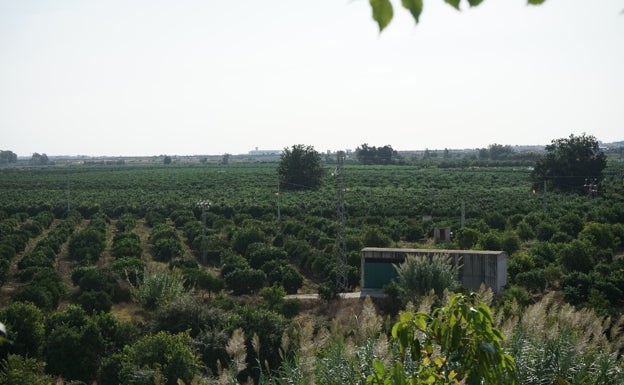 Verdes Equo planteará sumar la Vega de Mestanza al Parque Agrario del Guadalhorce