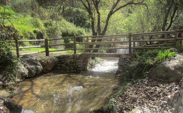 Alcaucín: Paisaje indómito en la falda de Sierra Tejeda