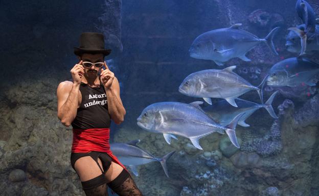 Festival de cine pandémico y celeste