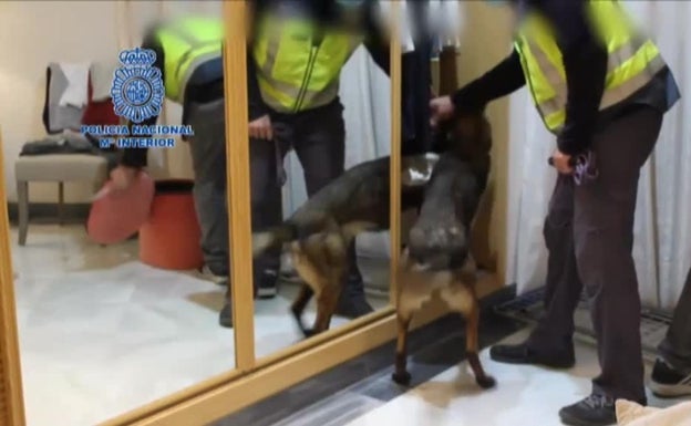 Los viajes por Europa de una mafia del Este destaparon la trama de PCR falsificadas en una clínica de Málaga