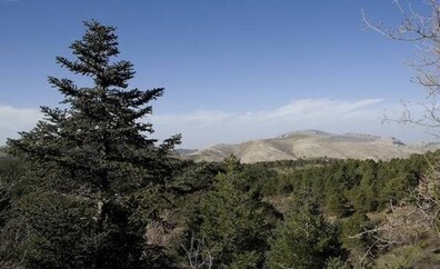 Asaja Málaga asegura que el Parque Nacional supondrá un «lastre» para las actividades agrarias de la Sierra de las Nieves