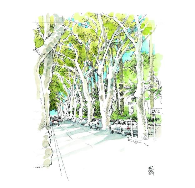 La bóveda prodigiosa