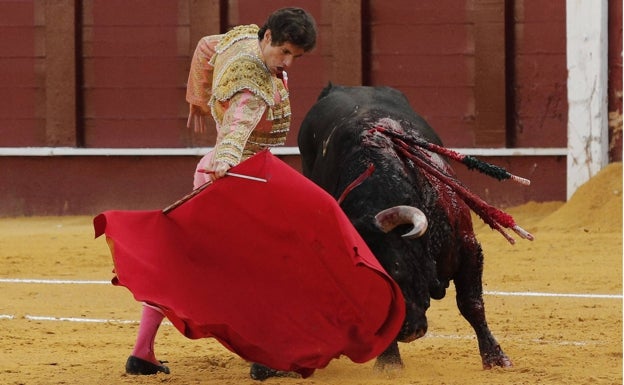 Santana Claros, en la semifinal del Circuito Andaluz de Novilladas