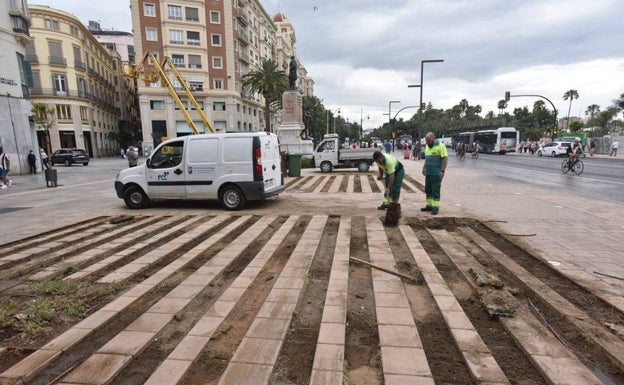 Sustituyen franjas de césped de la Alameda Principal de Málaga dos años después de su reforma