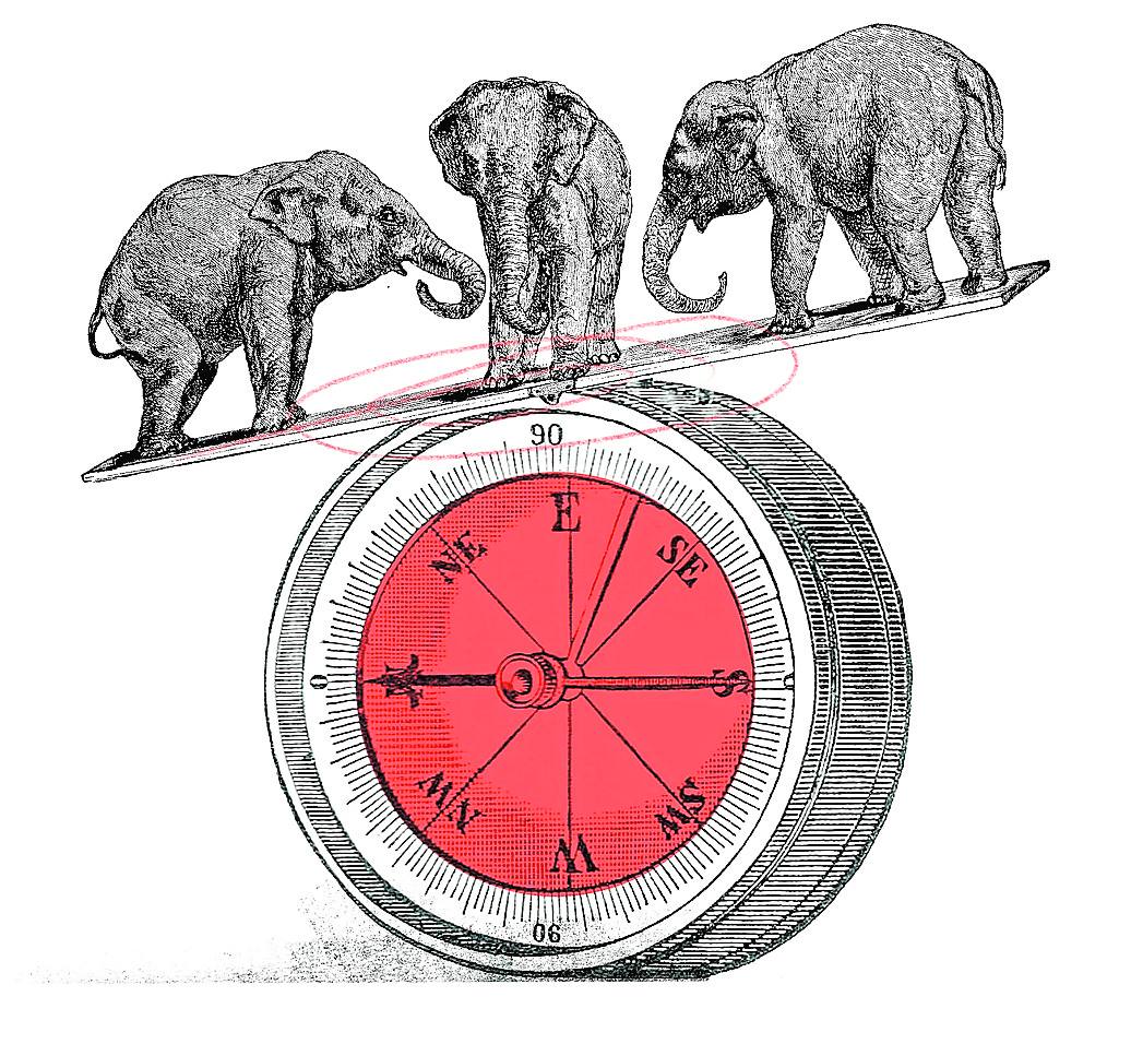 La senda de los elefantes