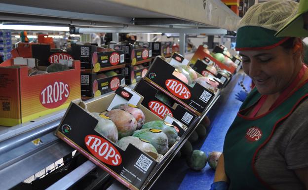 Oferta de trabajo en Málaga: Trops necesita cubrir 500 puestos de trabajo