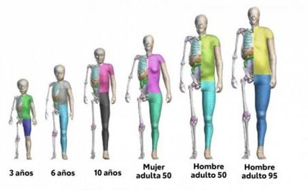 El software gratuito de modelación humana de Toyota triunfa en descargas