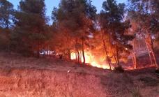 Bomberos interviene en un incendio en Cerrado de Calderón junto a una zona residencial