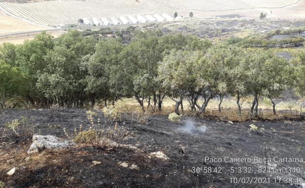 Incendio forestal en Cañete la Real que obliga a cortar la carretera MA-7404