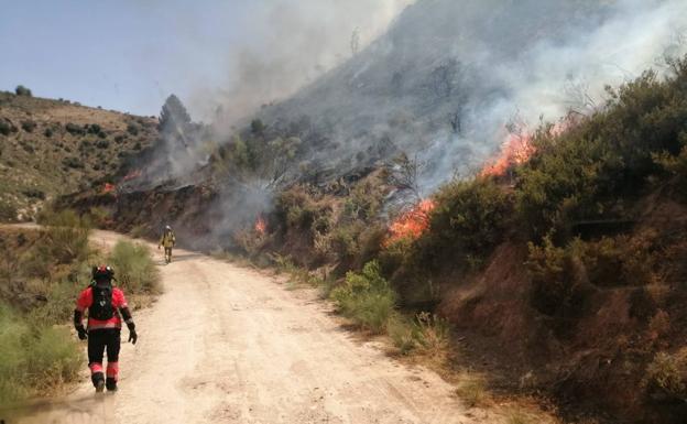 Estabilizado el incendio forestal en Serrato