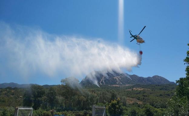 Extinguido el incendio de Gaucín que ha afectado principalmente a una plantación de aguacates