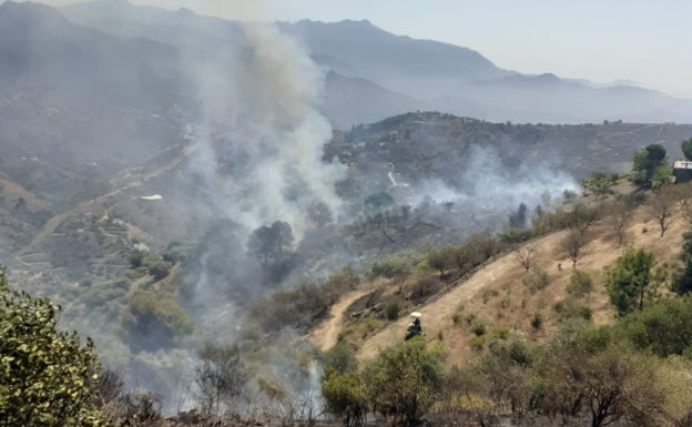 El Infoca trabaja en tres incendios forestales declarados en Estepona y la Axarquía
