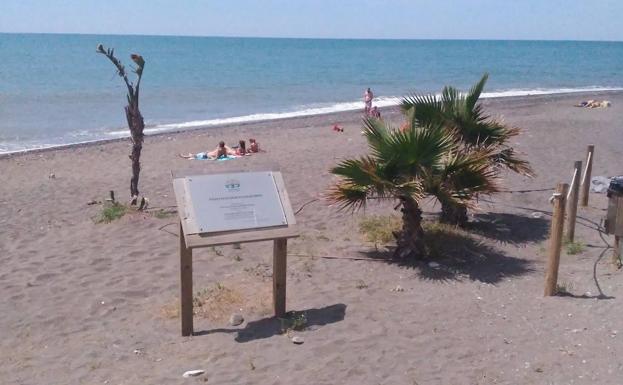 Los Rubios: una cala anacrónica en Torre de Benagalbón