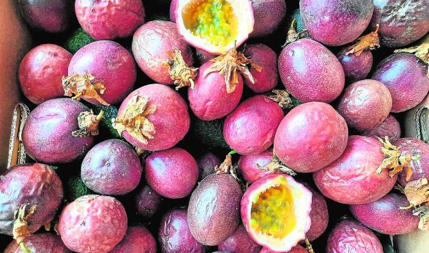 El exótico maracuyá conquista la Axarquía