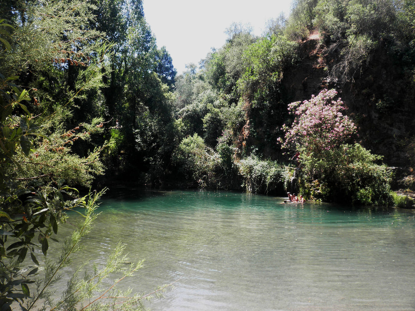 Puente de San Juan: Aventura y sabor junto a un trepidante Genal