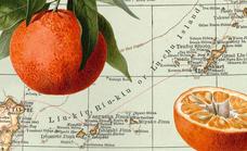 La mandarina salvaje que podría salvar a los cítricos