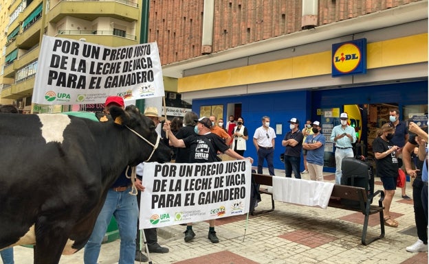 Ganaderos malagueños denuncian los bajos precios de la leche con el reparto de 500 litros frente a un supermercado