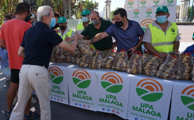 El levantamiento de los agricultores de patatas de Málaga