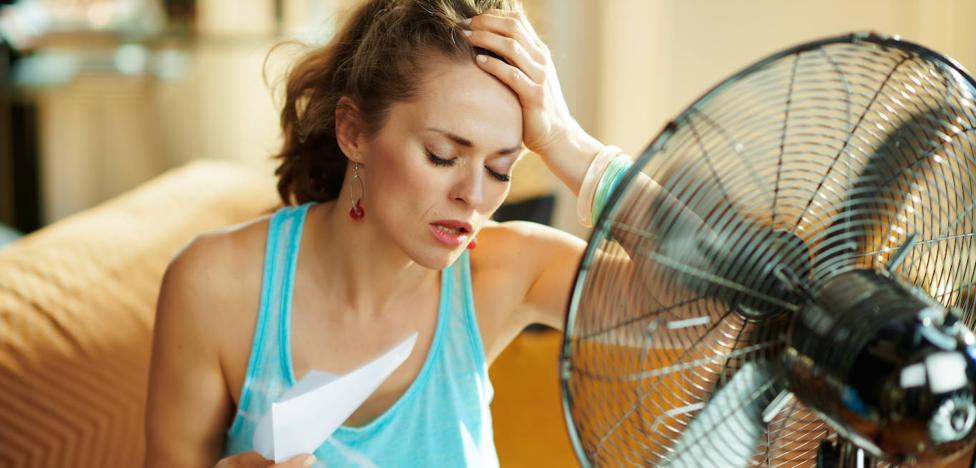Diez sencillos trucos para refrescar tu casa durante la primera ola de calor del verano | Diario Sur