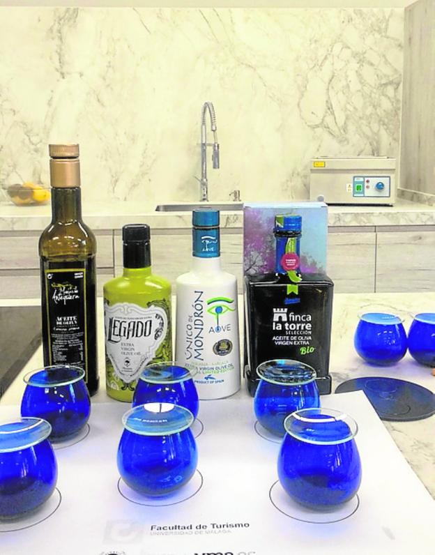 Noche de AOVE en Marbella