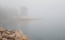 El taró y las medusas obligan a izar la bandera amarilla en playas de Málaga