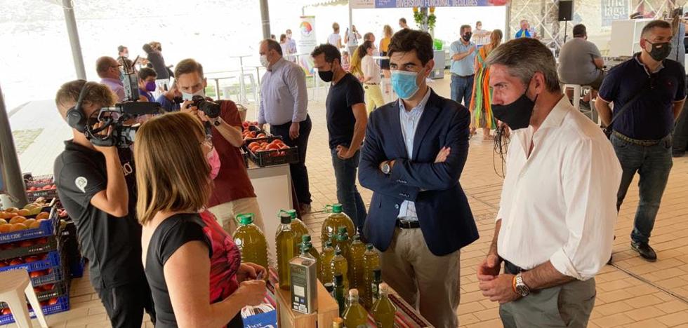 El Mercado 'Sabor a Málaga' Tomate Huevo de Toro abre sus puertas en Coín - Vimarsana News