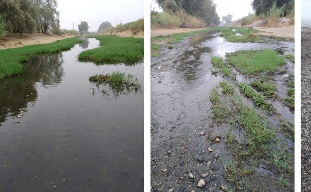 Ecologistas piden mantener el vertido de aguas residuales depuradas al cauce bajo del río Vélez para mejorar la biodiversidad