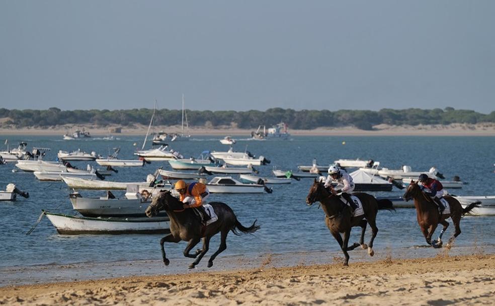 Andalucía, al son de los caballos y vino de Jerez