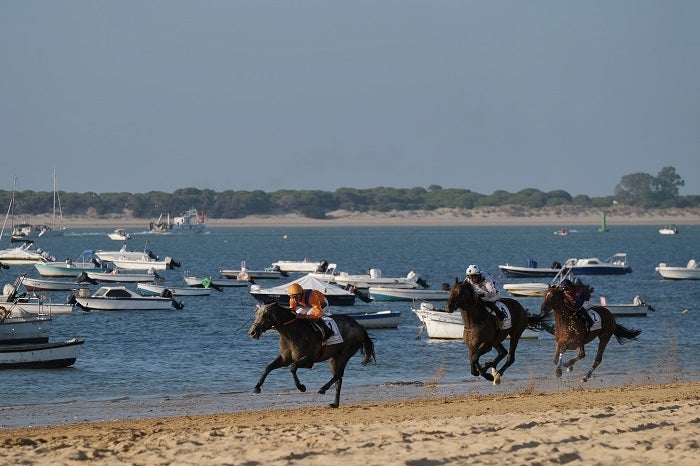 Sanlúcar, al son de los caballos y vino de Jerez