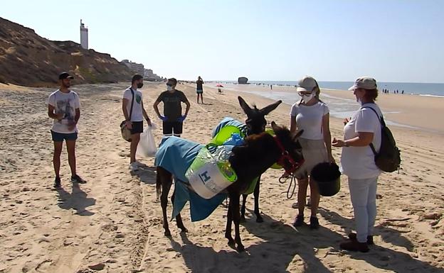 Sanitarios y burritos limpia-costas retiran basura de la playa de Matalascañas