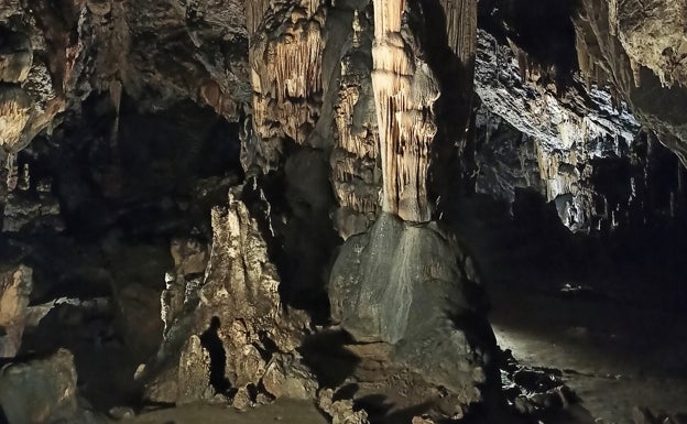 Ardales celebrará una jornada de divulgación científica con investigadores internacionales para conmemorar el bicentenario de la Cueva