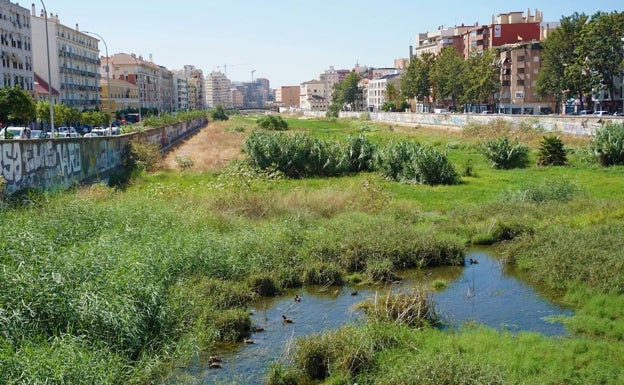El Ayuntamiento de Málaga prevé iniciar el desbroce del Guadalmedina este viernes