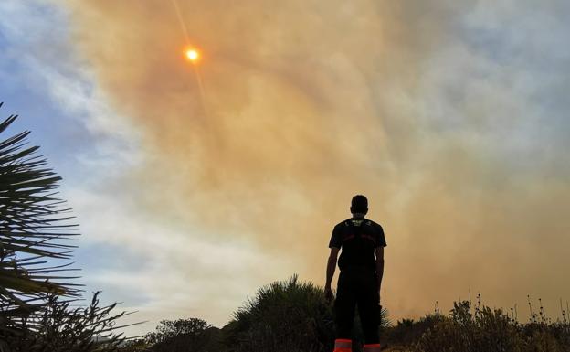 El incendio de Estepona, Jubrique y Genalguacil afecta a hectáreas de bosque mediterráneo y zona arbolada «importante»