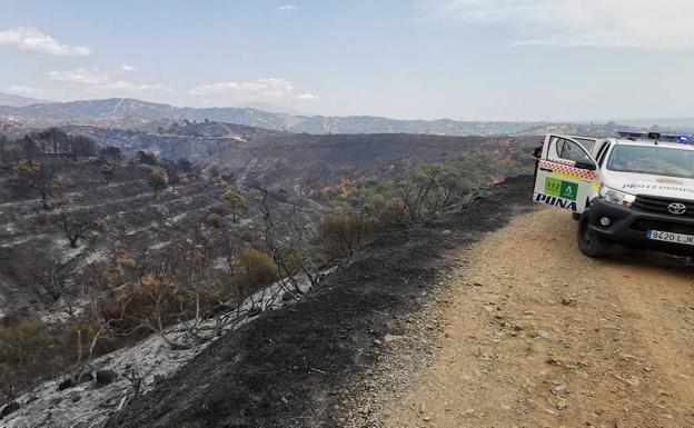 Aumentan a 939 los desalojados por el fuego en Sierra Bermeja