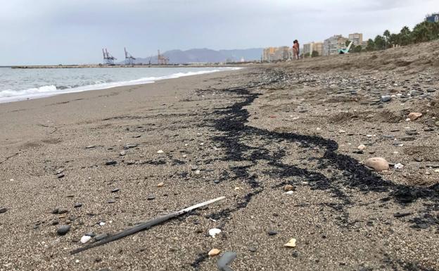 Las cenizas del incendio llegan a la costa y amenazan la vida marina