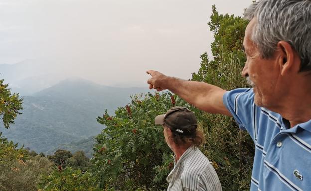 El incendio de Sierra Bermeja se bifurca y avanza en dos frentes