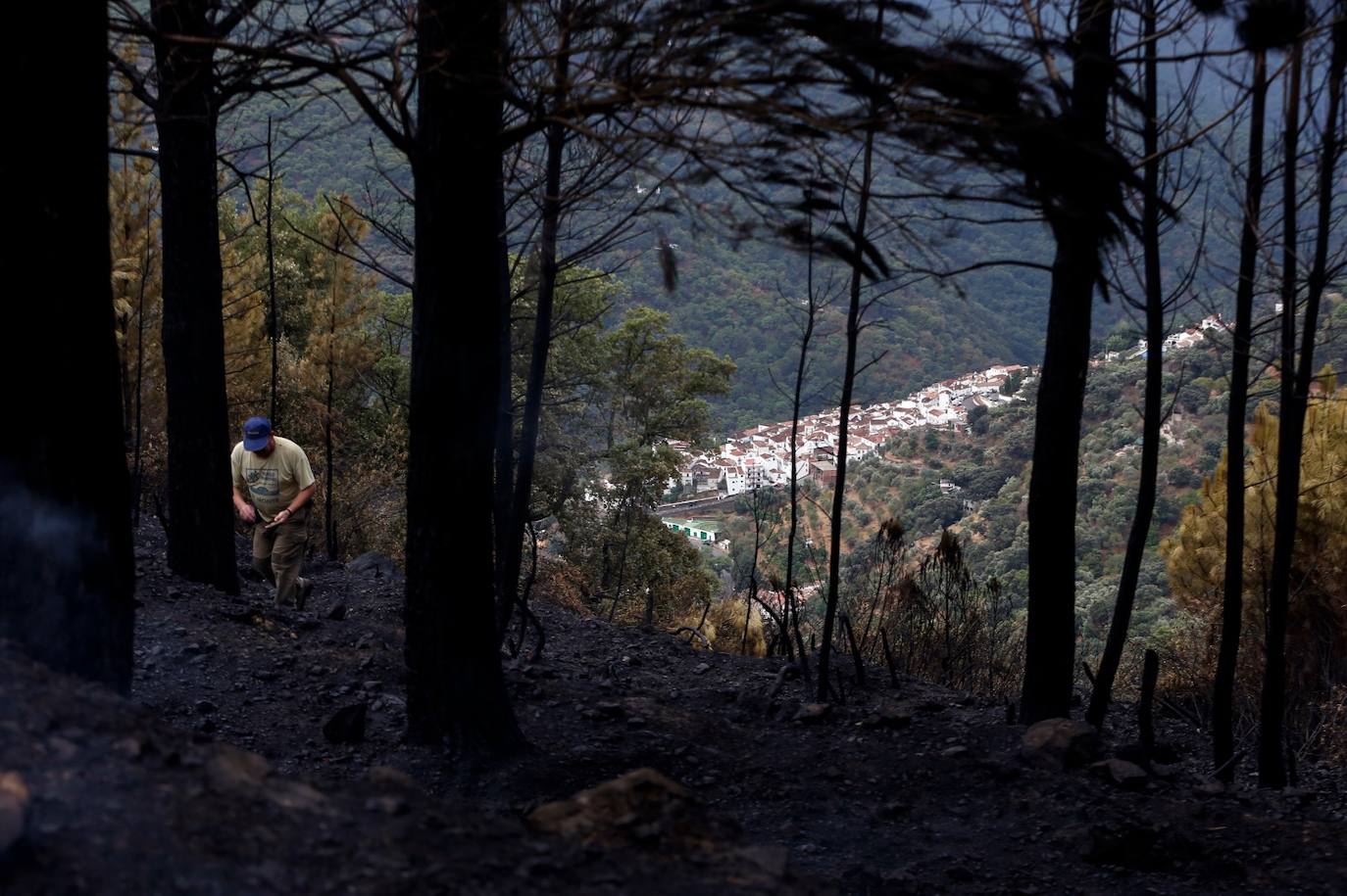 El incendio en Sierra Bermeja, controlado: las imágenes de la desolación