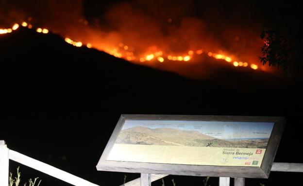 Málaga espera que el Gobierno declare zona catastrófica por el incendio en Sierra Bermeja