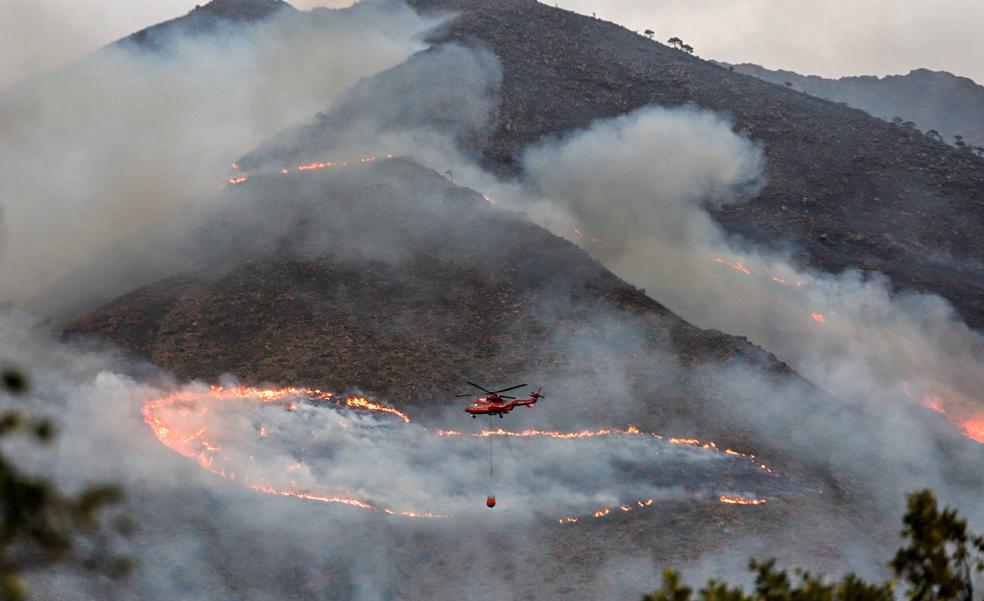 ¿Cómo actuar en el monte tras el fuego?