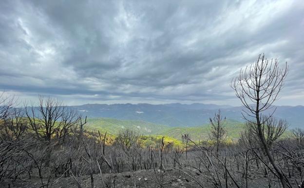 El Infoca inicia el «plan de liquidación» del incendio de Sierra Bermeja