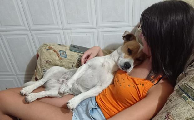 No sin Toby: una vecina de Júzcar retrasa su regreso a casa al perderse su perro tras el desalojo