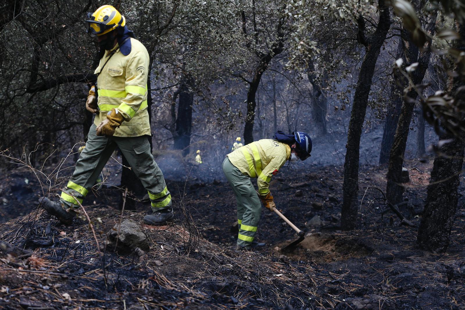 El gran incendio forestal de Sierra Bermeja, en imágenes