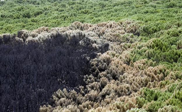 85 bomberos continúan trabajando este miércoles en el incendio de Sierra Bermeja para liquidar puntos calientes