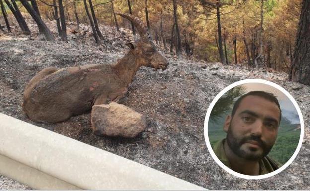 Francisco, el bombero malagueño que ha hecho una de las fotos virales del incendio forestal de Sierra Bermeja