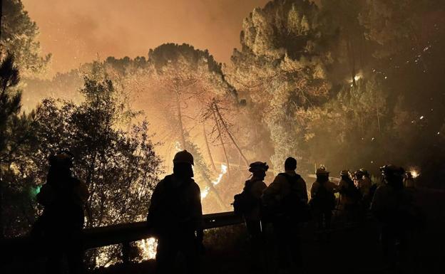 Mi amigo el bombero forestal