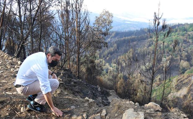 Un dispositivo formado por 25 bomberos forestales y dos autobombas trabaja esta noche en el incendio de Sierra Bermeja