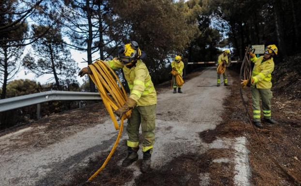 La Junta presenta un paquete de medidas para la recuperación tras el incendio forestal de Sierra Bermeja